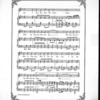 The Yankee Doodle boy