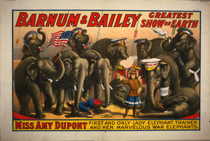 Circus and magic posters
