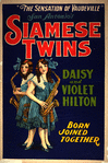 San Antonio's Siamese Twins, Daisy and Violet Hilton, poster