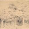 Hudson River and woods surrounding Tarrytown, N.Y.