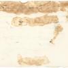 "You lingering sparse leaves of me." Holograph draft of poem, undated, signed.