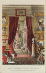Lady Morgan's drawing room