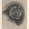 The tiger.