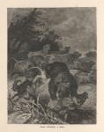 Bears attacking a herd.