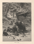 Bruin at bay.