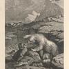 The white bear and the walrus