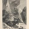 The dead chamois.