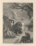 The wild boar at bay.
