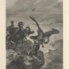 Lammergeier and chamois.