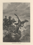 Lammergeier and chamois.