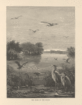 The home of the heron.