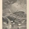 The harvest of the sea.