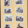 Elephants and a kangaroo.