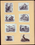 Elephants and a kangaroo.