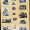 Elephants.