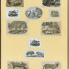 Hyenas, foxes, wolves, and lynxes.