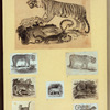 Leopards and tigers.