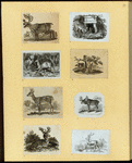 Deer, moose, and elk.