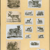 Antelope, deer, elk, and moose.