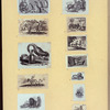 Lions, dogs, bears, cats, birds, rabbits, and horses.