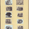 Lions, deers, and farm animals.