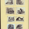 Dog, cat, fox, wolf, lion, donkey, and a chicken.