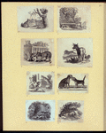 Dog, cat, fox, wolf, lion, donkey, and a chicken.