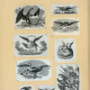 Letterheads and allegorical scenes featuring eagles.