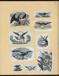 Letterheads and allegorical scenes featuring eagles.