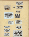 Letterheads and newspaper flags featuring eagles.