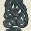 Lineus longissimus. (Black Line-Worm). [Class 5. Vermes, Order 1. Intestina]