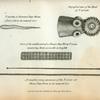 Tænia serrata or Serrated Tape Worm from a Cat in its natural size; Magnified view of the Head of T[ænia] serrata; Piece of the middle part of a Sheep's Tape Worm T ovina measuring thirty-seven ells in lenghth; A complete young spicimen of the T ovina or Sheeps Tape Worm in its natural size.