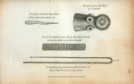 Tænia serrata or Serrated Tape Worm from a Cat in its natural size; Magnified view of the Head of T[ænia] serrata; Piece of the middle part of a Sheep's Tape Worm T ovina measuring thirty-seven ells in lenghth; A complete young spicimen of the T ovina or Sheeps Tape Worm in its natural size.