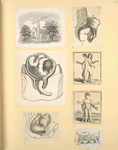 Illustrations of women's anatomy; conjoined twins, and a church.