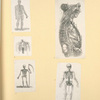 Illustrations of human anatomy.