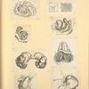 Illustrations of human anatomy.
