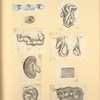 Illustrations of human anatomy.