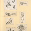 Illustrations of human anatomy and medical procedures.