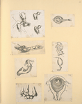 Illustrations of human anatomy and medical procedures.
