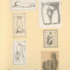 Illustrations of human anatomy.