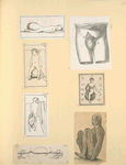 Illustrations of human anatomy.
