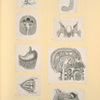 Illustrations of human anatomy.