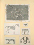 Prehistoric animal skeletons.