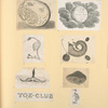 Illustrations of human anatomy.