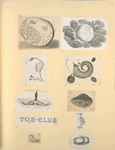 Illustrations of human anatomy.