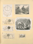 Schematic drawings and scenes of violence.