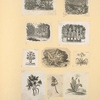 Flowers.