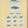 Scrap Book, Volume 6, p.18