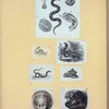 Scrap Book, Volume 6, p.20