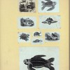 Scrap Book, Volume 6, p.21